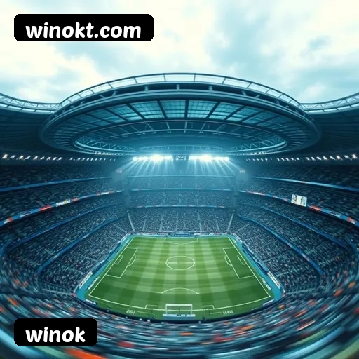 Suporte 24 horas winok